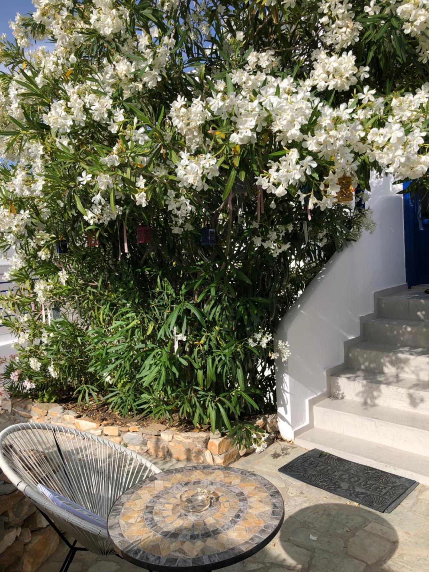 Vrahos Rooms - Studios Alopronia Dış mekan fotoğraf